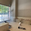 프불하우스 이미지