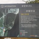 교린어린이집