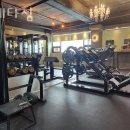 플레타짐 이미지