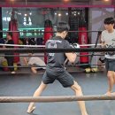 형제미트 이미지