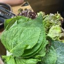 숯불이야기 이미지