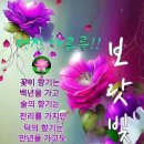 마동스위트벨리 이미지