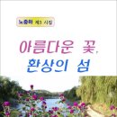 환상의 섬 이미지