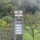 세종동_전월산 무궁화 테마공원 | 세종 초보 등산 코스 추천, 전월산 등산 후기