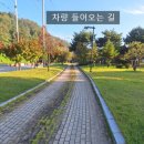 로드파크가로공원 이미지