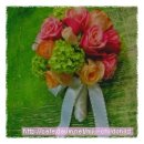 신현유치원 이미지