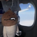 제남기계 | 🇨🇳 [중국 제남 산동 대학] 1일차 第一天 | 인천공항 출국 , 하이디라오, 헤이티