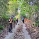 숲 안으로 : 낙남정맥 백토재~덕천(솔티)고개(25km, 7시간대) 이미지