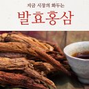 홍삼월드