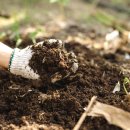 동진원예사 이미지