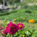 가온누리 농장 이미지