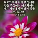 힐링자연치유