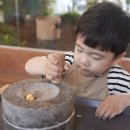 토토어린이집 이미지