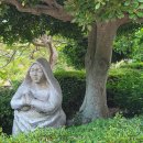 고흥-10호 이미지