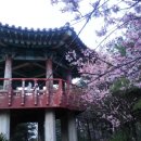 문지초등학교 이미지