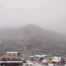 청량산쉼터민박 이미지