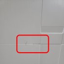 17.중부팬더 이미지