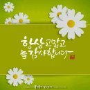 행복버튼 – 원대감(원망 대신 감사를) 이미지