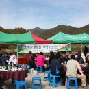 부평청과 - 부평구 경원대로 1432 | 부평청과