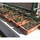 벽산풍림아파트 이미지