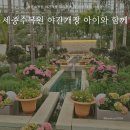 연기면_호수공원중앙수목원로 | 세종수목원 야간개장 우리함께 夜 등불 대여 아이와