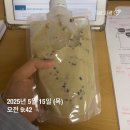 뽑대장 | 스위치온 4-7일차 : 실패는 성공의 어머니라길래