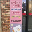 에브리데이호암점 이미지