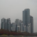 양재천근린공원 이미지