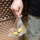 본우리집밥 엘앤에프구지1공장점 | 집밥 자주 한다면 가정용 음식물처리기, 아이닉 써본 후기