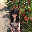 베이글베이글러