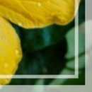 대자연약국 이미지