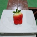 홈딸기농원