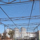 (용인/죽전) "위너테니스" 연습하기 좋은 테니스장🏃‍♂️🎾주말 대관 후기