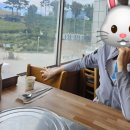 서평택골프클럽 | 서평택골프클럽 파3 후기. 더운 날씨에 녹초. 2인플레이. 18홀 빡셈.