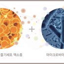 소피스의원 이미지