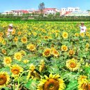 명심농장 이미지