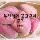 봉선청과