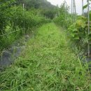 무안농장 이미지