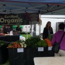 소농농장 이미지