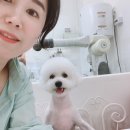 더웃개 이미지