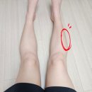 건강 셀프마사지 | 헤임타 리커버리 허벅지 종아리 셀프 롤러 마사지스틱 풀링바 솔직후기