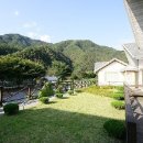 고요한아침 강가 이미지