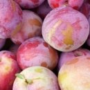 김주연농장 이미지