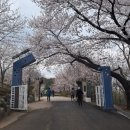 천문과학관주차장 이미지