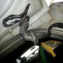 제이투모터스 이미지