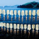 안덕계곡 앞 3 이미지