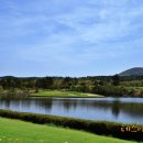 롯데스카이힐제주CC(회원제 18홀) | 제주 라헨느cc 예약 컨디션 좋은 제주도 18홀 회원제 골프장 후기