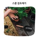 삽 | 억센 뿌리 잡초제거 추천 베어본즈 앤틱 원목 정원삽 실사용후기