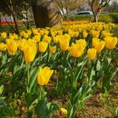 [2025년 4월] 광주·전남 축제 일정 및 장소 정리