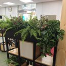 점동보건지소 이미지